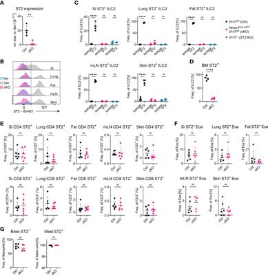 ILC2 require cell-intrinsic ST2 signals to promote type 2 immune responses